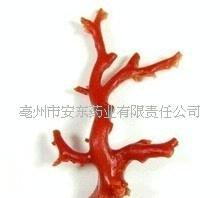 批發(fā)中藥材珊瑚/紅/珊瑚/珊瑚草支持驗(yàn)貨(圖)