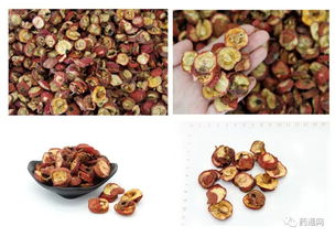 產(chǎn)地藥材直銷專區(qū) 源頭好藥，健康直達