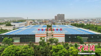 耿福能與好醫(yī)生藥業(yè) 鑄就“品牌之山”，守護(hù)“藥材金山銀山”